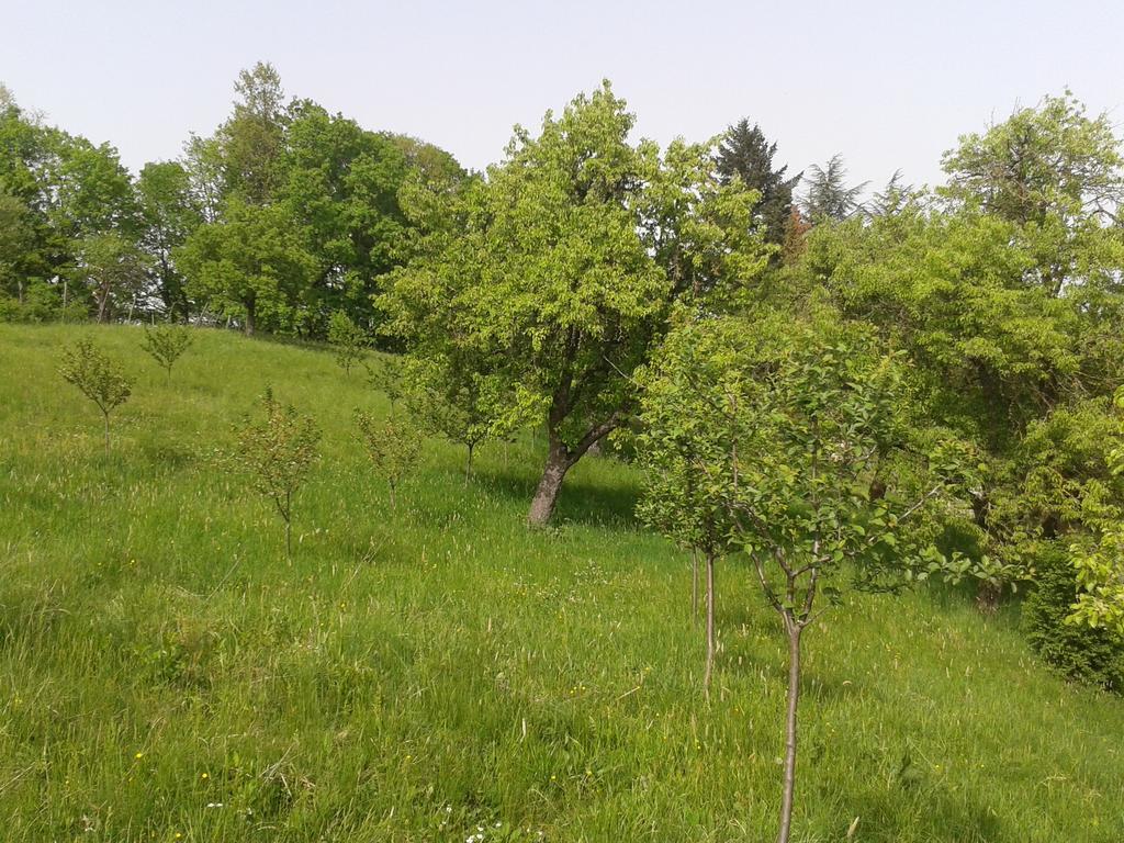 Country House Stoljetna Vila Seona Exterior photo