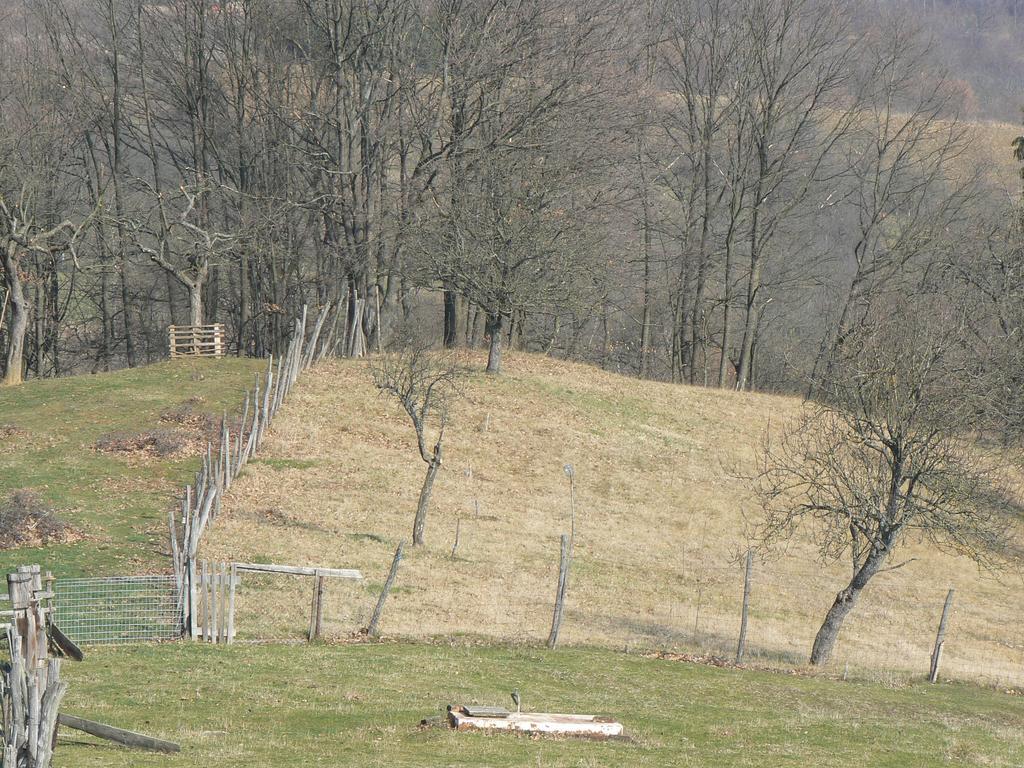 Country House Stoljetna Vila Seona Exterior photo