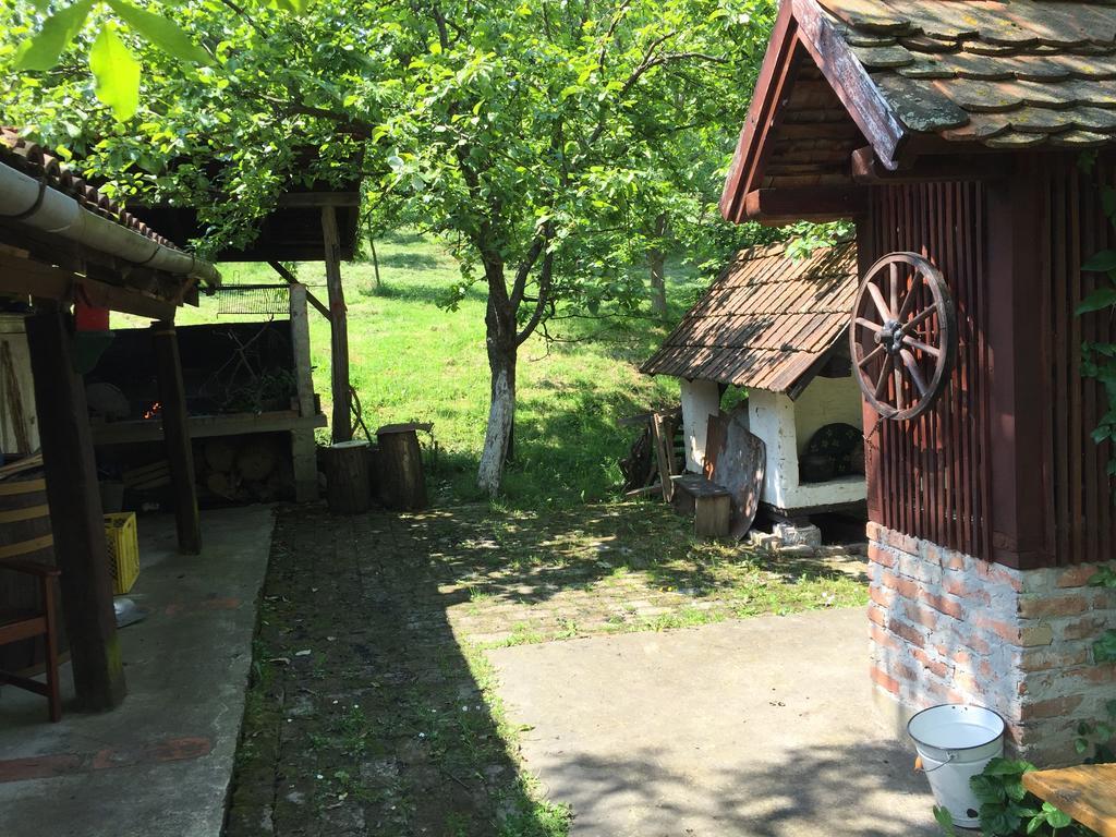 Country House Stoljetna Vila Seona Exterior photo