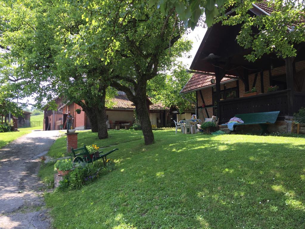 Country House Stoljetna Vila Seona Exterior photo