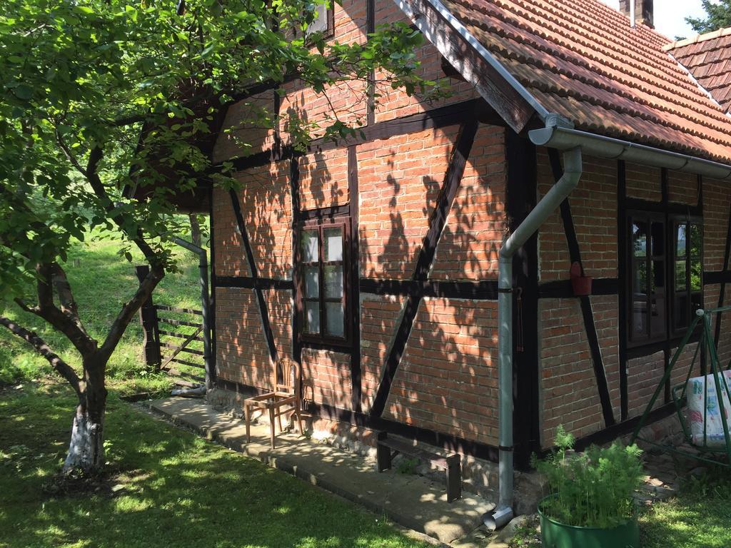 Country House Stoljetna Vila Seona Exterior photo