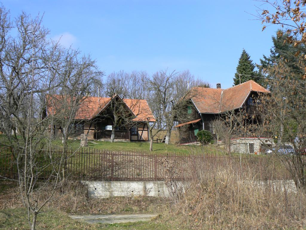 Country House Stoljetna Vila Seona Exterior photo